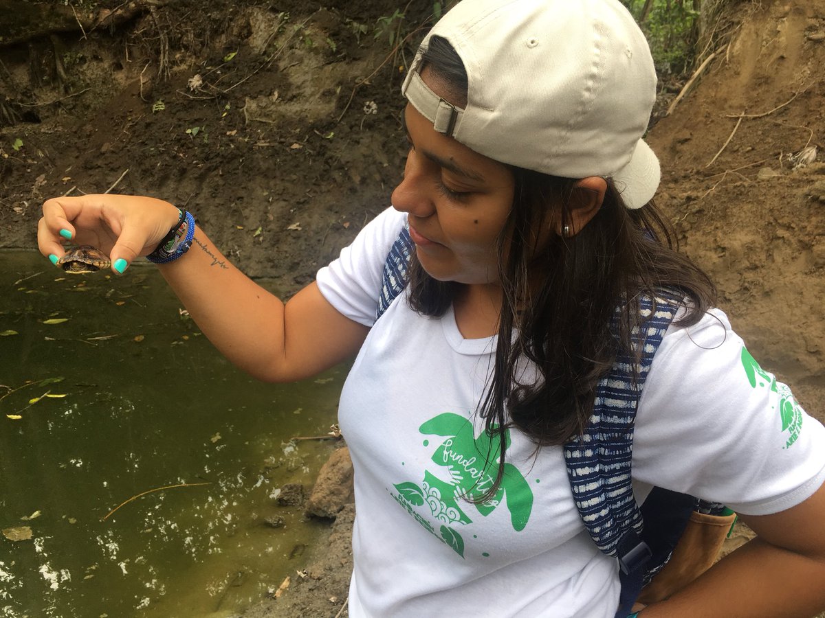 fundartingcol's tweet photo. Taller de conservación de Tortugas 
#Tumaco https://t.co/6AIvOakLVx