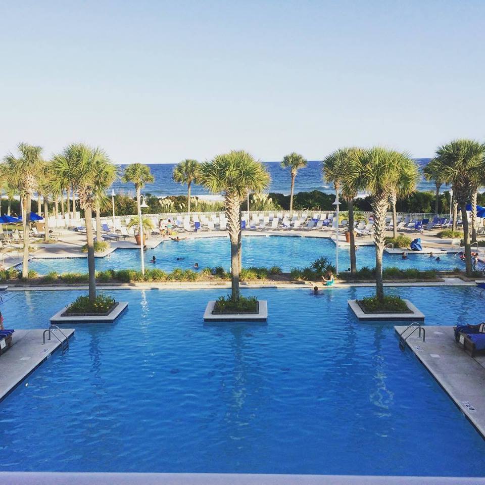 MarriottMyrtle's tweet photo. Looks like our holiday wish already came true... #MyrtleBeachMarriott

📸  melibelli https://t.co/eN87Ll8G7I