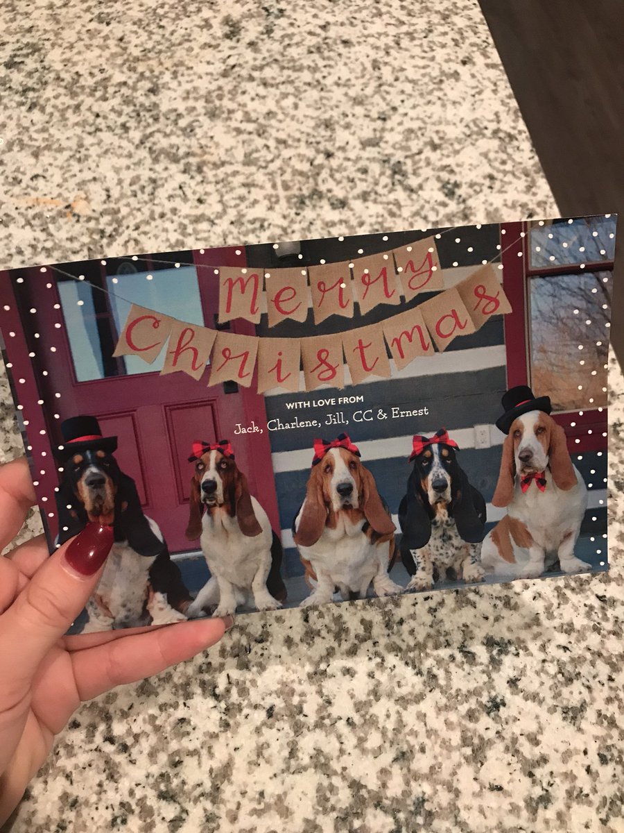 So excited to open this card up and see this happy basset family smiling back at me! <a href="/JoleeMockler/">Jolee</a>