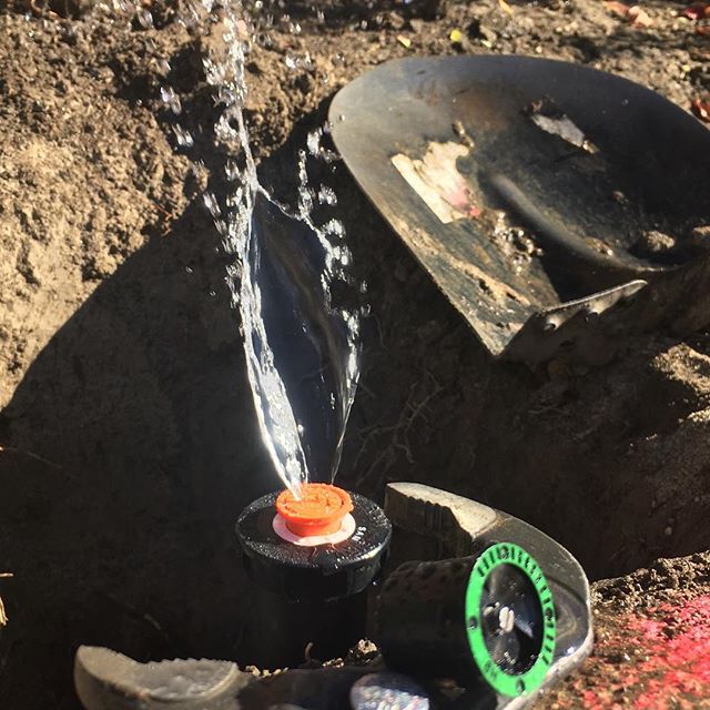 cwragronomy's tweet photo. #rainbird #rainbirdcorp #rainbird1806 #razorback #razorbackshovel #powerstep #supersocket #knipex #knipextools https://t.co/8833td0GE1