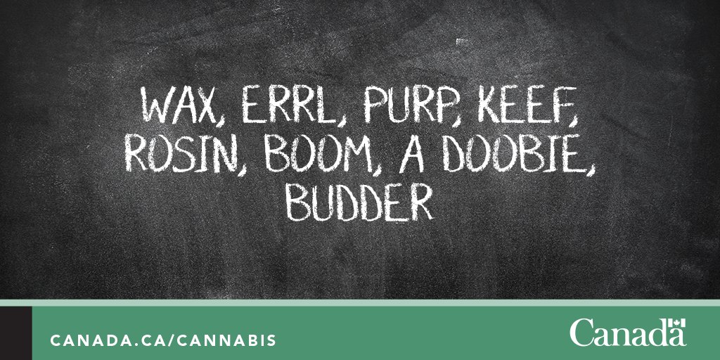 GovCanHealth's tweet image. Some words may not mean what you think. Learn the slang terms for #cannabis: ow.ly/wGp030hsjqg #marijuana