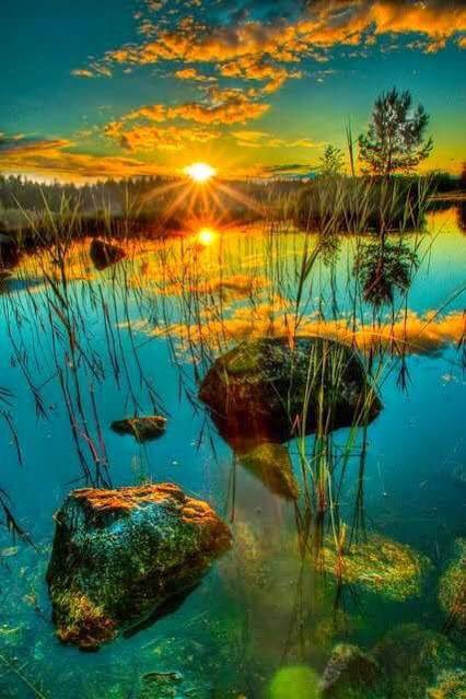 mobasharahmed's tweet photo. Nature is the most intimate lover of mine who denudes my emotion with its intense beauty. https://t.co/vHofDbuW57