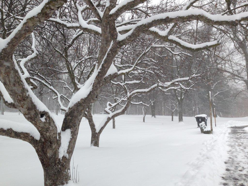 cityoftoronto's tweet photo. Check https://t.co/oZMiq6ipLl for 24/7 winter respite services, extra shelter beds during Extreme Cold Weather Alerts plus outreach team on patrol overnight. If you see someone in need, call 311, or 911 in emergency. https://t.co/HY7voABFoN