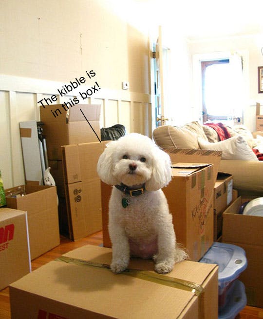 AccentReGroup's tweet photo. Setting Up Home: Tips for Unpacking &amp; Settling In https://t.co/tj8rV83n5k 

#Homemovingtips #Realestate #Realtors #Colorado https://t.co/Wl6KHfAF5q