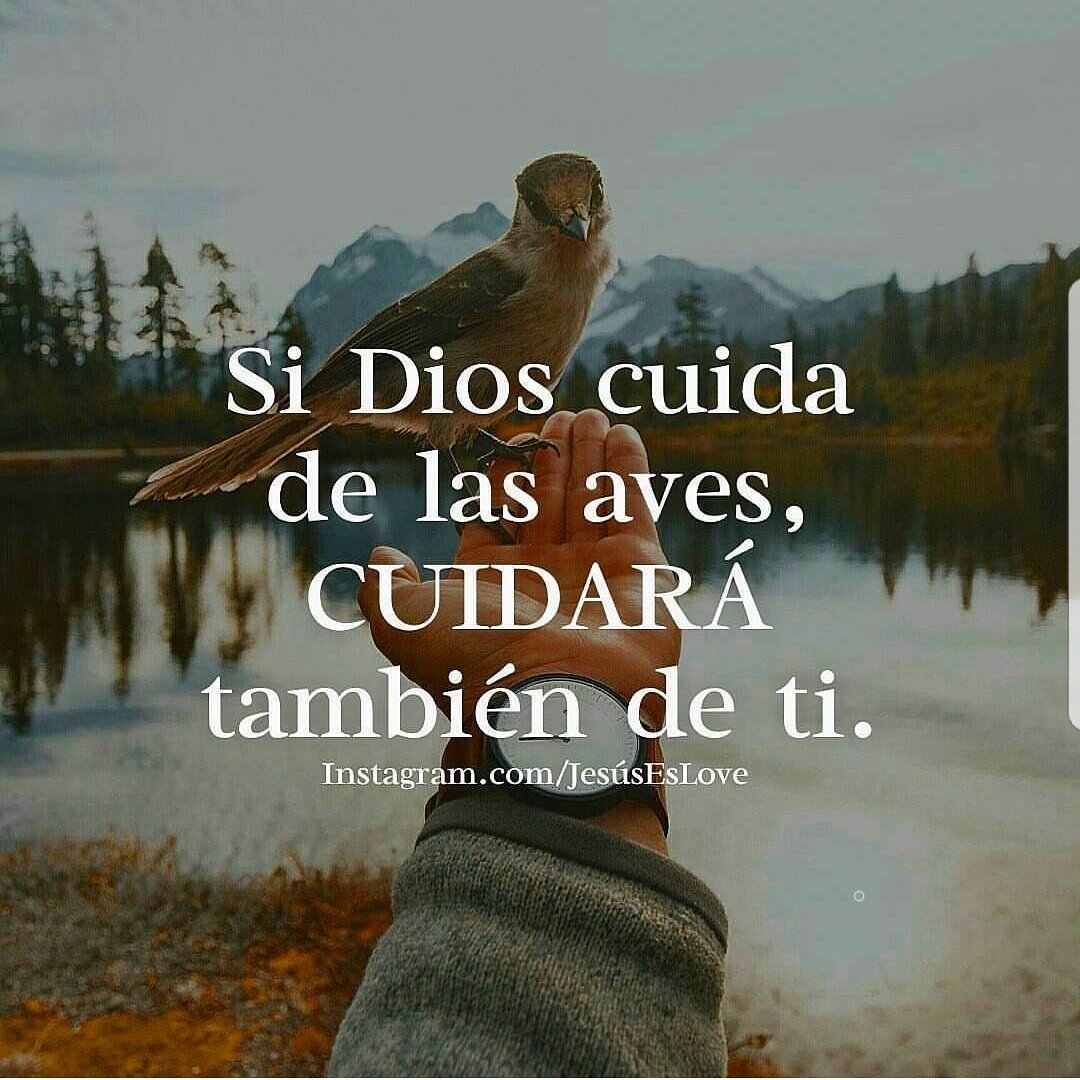 si Dios cuida de las aves , CUIDARÁ TAMBIÉN de ti.