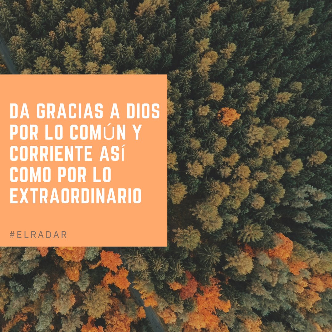 ElRadar907's tweet photo. #ElRadar https://t.co/lGAgx9gw8i