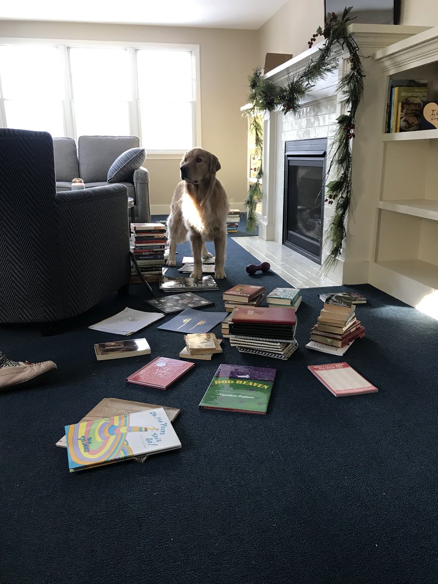 aboehm11's tweet photo. Time to fill the bookshelves #mrtucker #nudge #booksfordays https://t.co/dSOoeBJR5s
