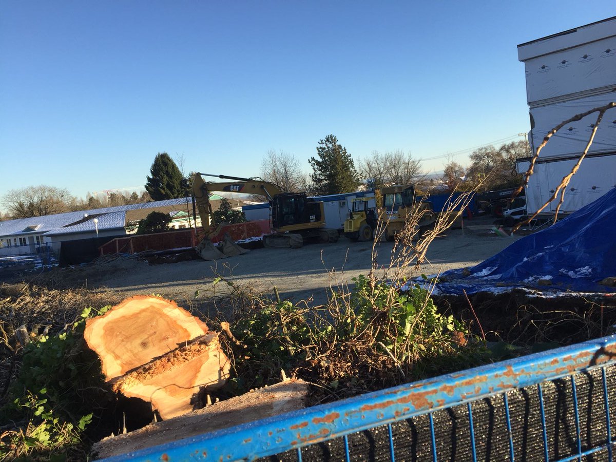 MarpoleChildren's tweet photo. #Dictator @MayorGregor @VisionVancouver #CommunityBuilders have chopped trees at the site, ones they vowed to keep at the Info Session. Everything they'd said about #TMHing has been lies. How can we trust them? #liars #visionfail #VoteNo #vanre #vanpoli #incompetant https://t.co/XSVn9PRIxJ