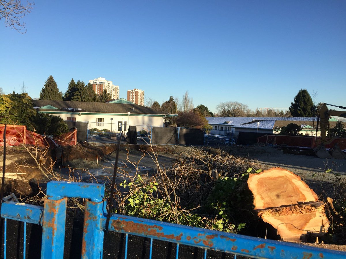 MarpoleChildren's tweet photo. #Dictator @MayorGregor @VisionVancouver #CommunityBuilders have chopped trees at the site, ones they vowed to keep at the Info Session. Everything they'd said about #TMHing has been lies. How can we trust them? #liars #visionfail #VoteNo #vanre #vanpoli #incompetant https://t.co/XSVn9PRIxJ
