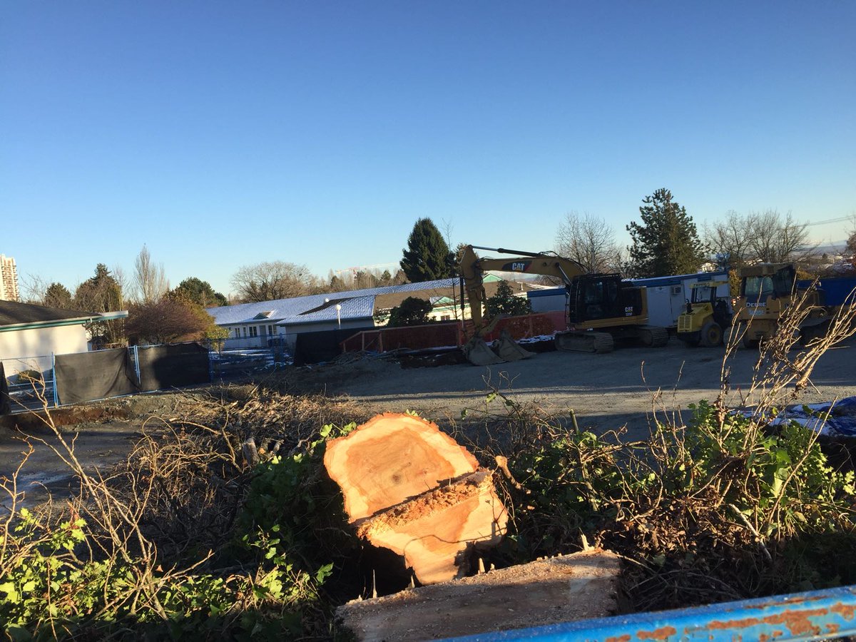 MarpoleChildren's tweet photo. #Dictator @MayorGregor @VisionVancouver #CommunityBuilders have chopped trees at the site, ones they vowed to keep at the Info Session. Everything they'd said about #TMHing has been lies. How can we trust them? #liars #visionfail #VoteNo #vanre #vanpoli #incompetant https://t.co/XSVn9PRIxJ