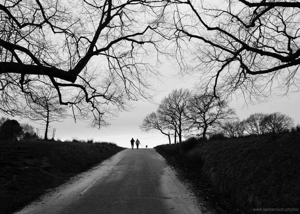 Great time today at  #beautiful #lymepark #cheshire <a href="/nationaltrust/">National Trust</a> #photography #landscapephotography <a href="/cheshirelife/">Cheshire Life</a>