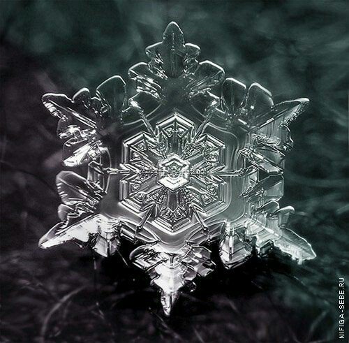 S_um_mer0's tweet photo. ❄✨❄✨❄ #WinterIsHere #wintersolstice2017 ❄✨❄✨❄ #snowflakes ❄ https://t.co/1Ll3tHHi3q