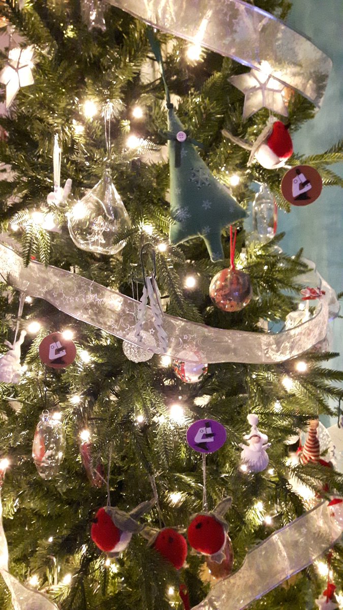 crazylymphocite's tweet photo. The surviving wedding #pathogifts  from our wedding 5 years ago, today adorn our Christmas tree. #ChristmasTreePath #christmas @AlmuMontanez https://t.co/OTSTx342WI