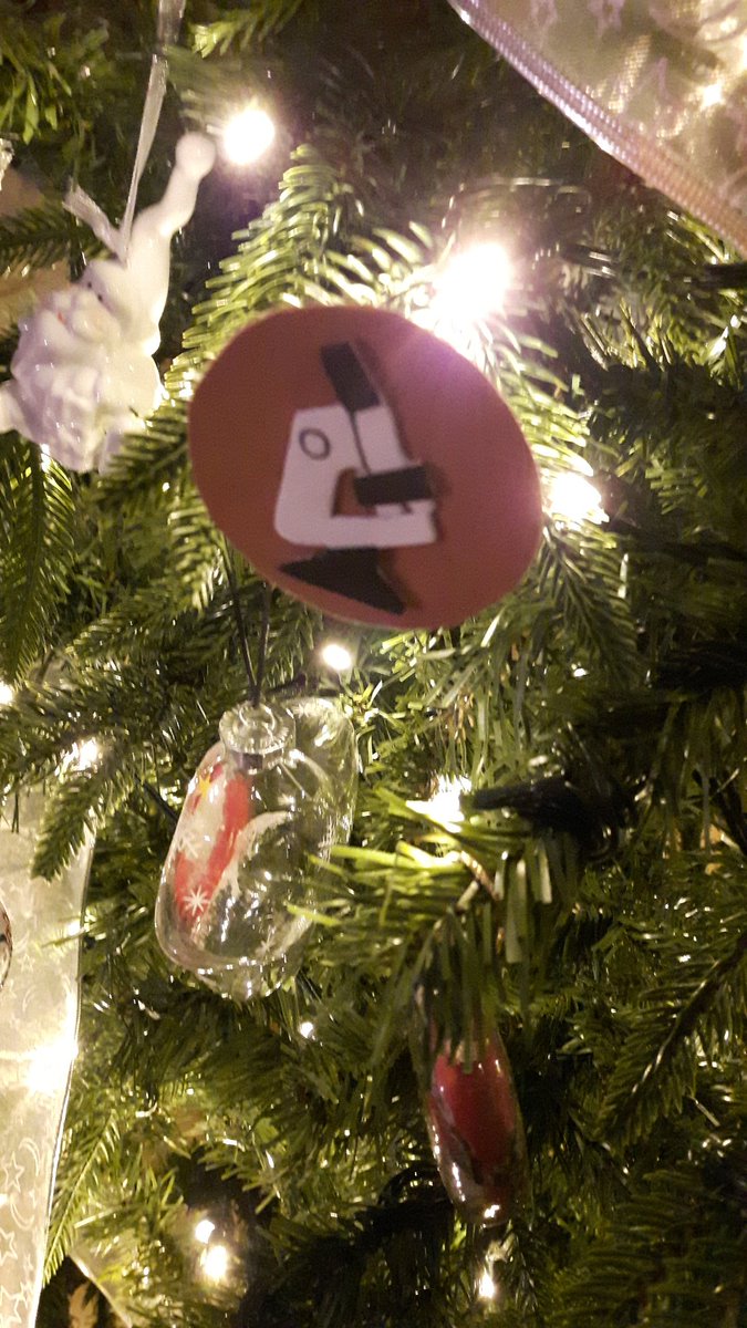 crazylymphocite's tweet photo. The surviving wedding #pathogifts  from our wedding 5 years ago, today adorn our Christmas tree. #ChristmasTreePath #christmas @AlmuMontanez https://t.co/OTSTx342WI