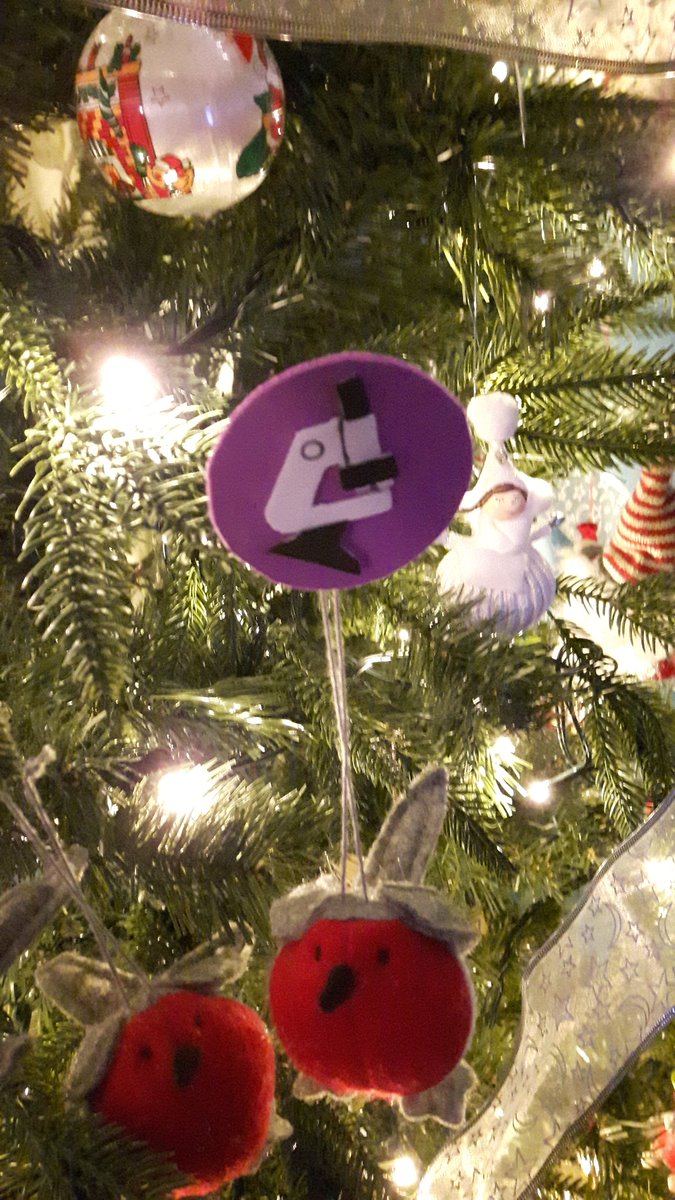 crazylymphocite's tweet photo. The surviving wedding #pathogifts  from our wedding 5 years ago, today adorn our Christmas tree. #ChristmasTreePath #christmas @AlmuMontanez https://t.co/OTSTx342WI