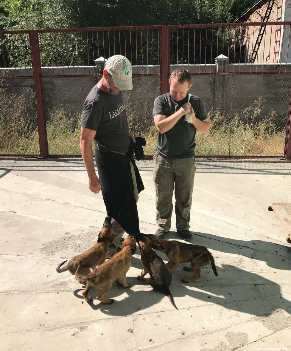 PantheraCats's tweet photo. ...and here are some who might join us in the future! Want more good news for big cats in 2018? Give hope for the holidays: https://t.co/1yjLVTwarL #actforcats #wildlifeconservation #dogssavingcats https://t.co/GjGdong60j