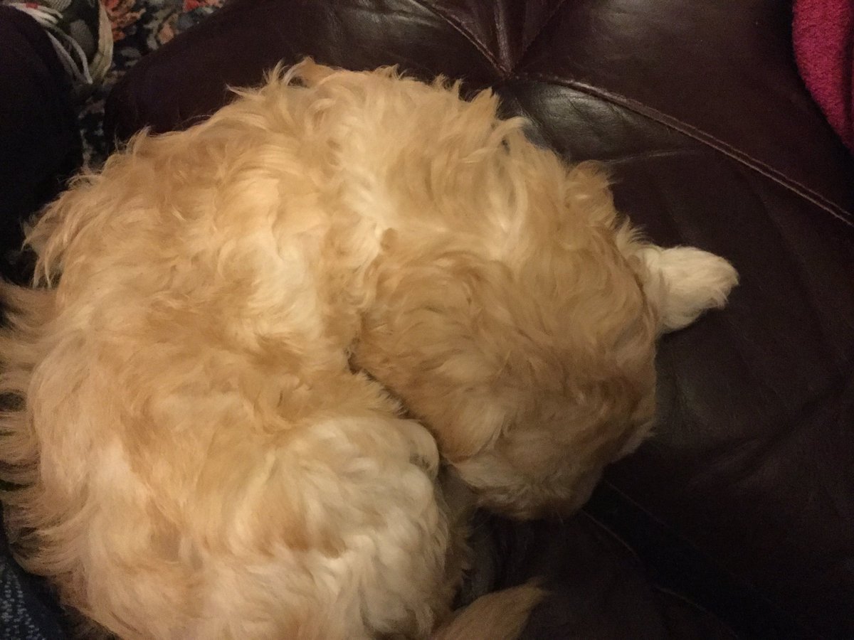 ticl's tweet photo. Feeling sorry for myself, had my 2nd vaccination today and had an allergic reaction! Only me. https://t.co/Y6My9G50iX