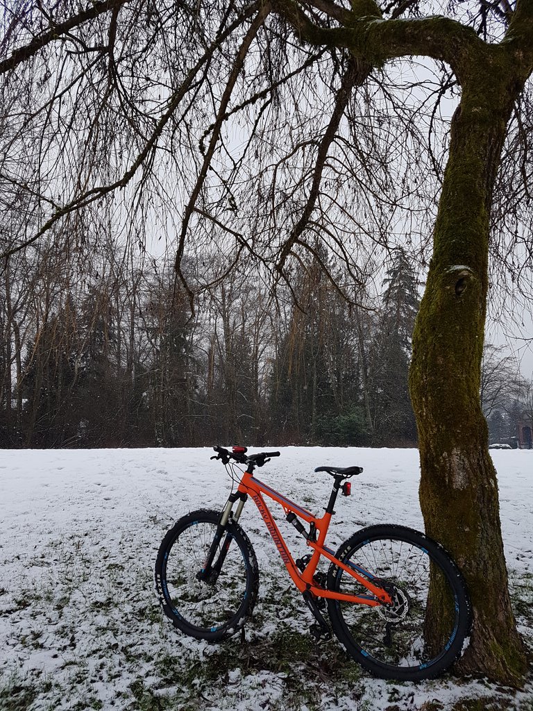 raf_ventura's tweet photo. My favourite ride, through the powder, on my @rockymountain #Thunderbolt730. #LoveTheRide #SnowDay #LetItSnow @CityofBurnaby https://t.co/tUbctFmntE