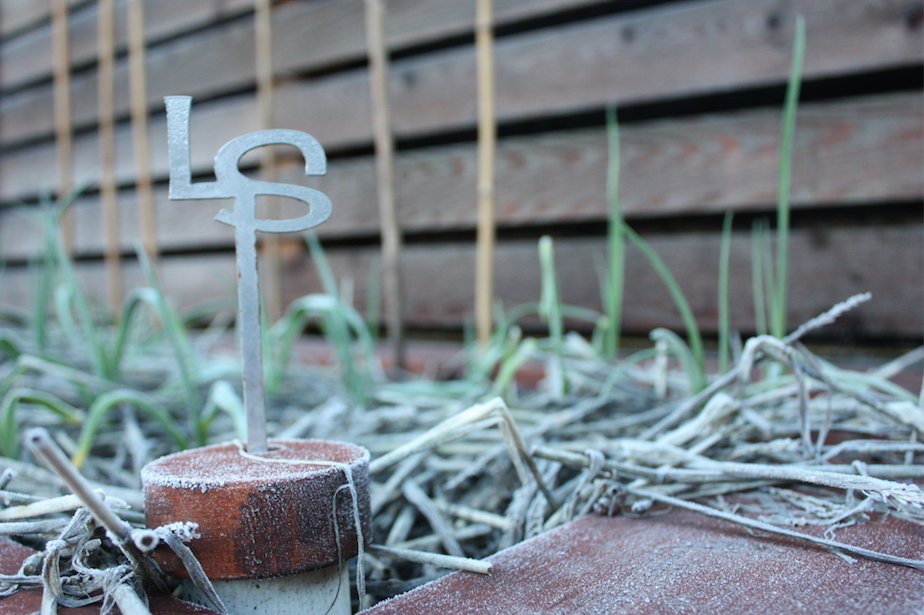 The last average frost date in the Pacific South coast of BC is March 28th! We're counting down the days!