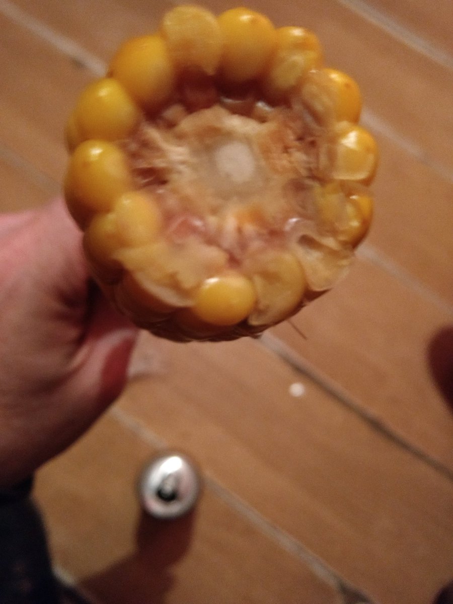 stevelw3's tweet photo. @KFC_UKI  ok, KFC nantgarw just served me a clearly rotten corn cob. Evil dark looking corn..but the inside...
I suppose I should be thankful the order was right for once. https://t.co/jmKVXlM19k