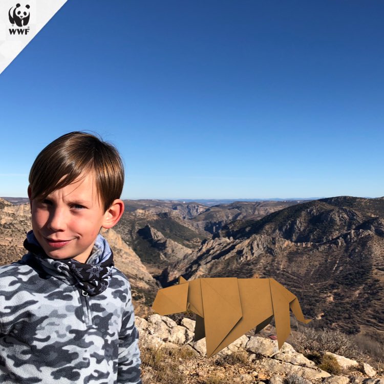 VictorCatalan97's tweet photo. Together we can protect tigers. #WWFTogether: https://t.co/HxBfO1BDv7 https://t.co/SSNzPSkEqw