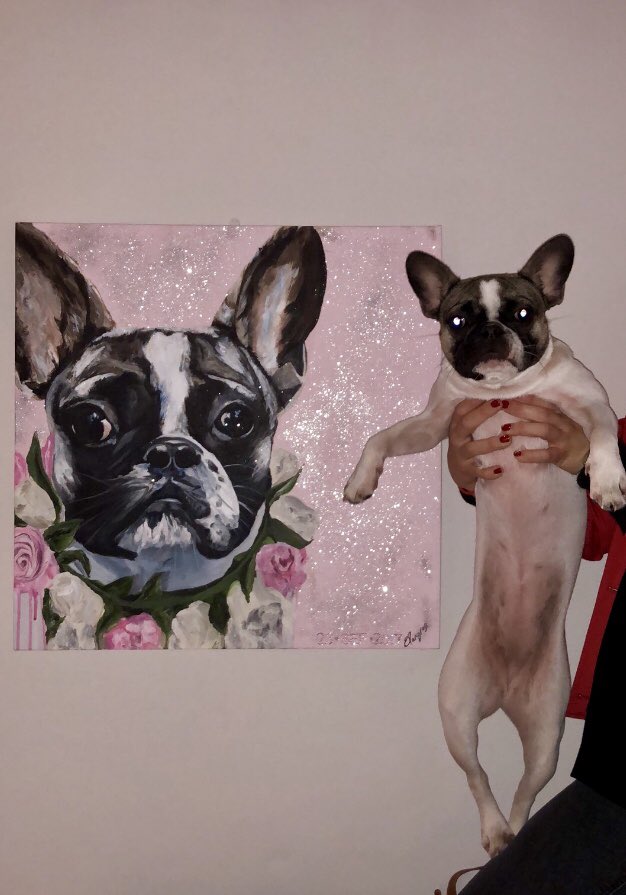 #FrenchBulldogs #dogportraits
