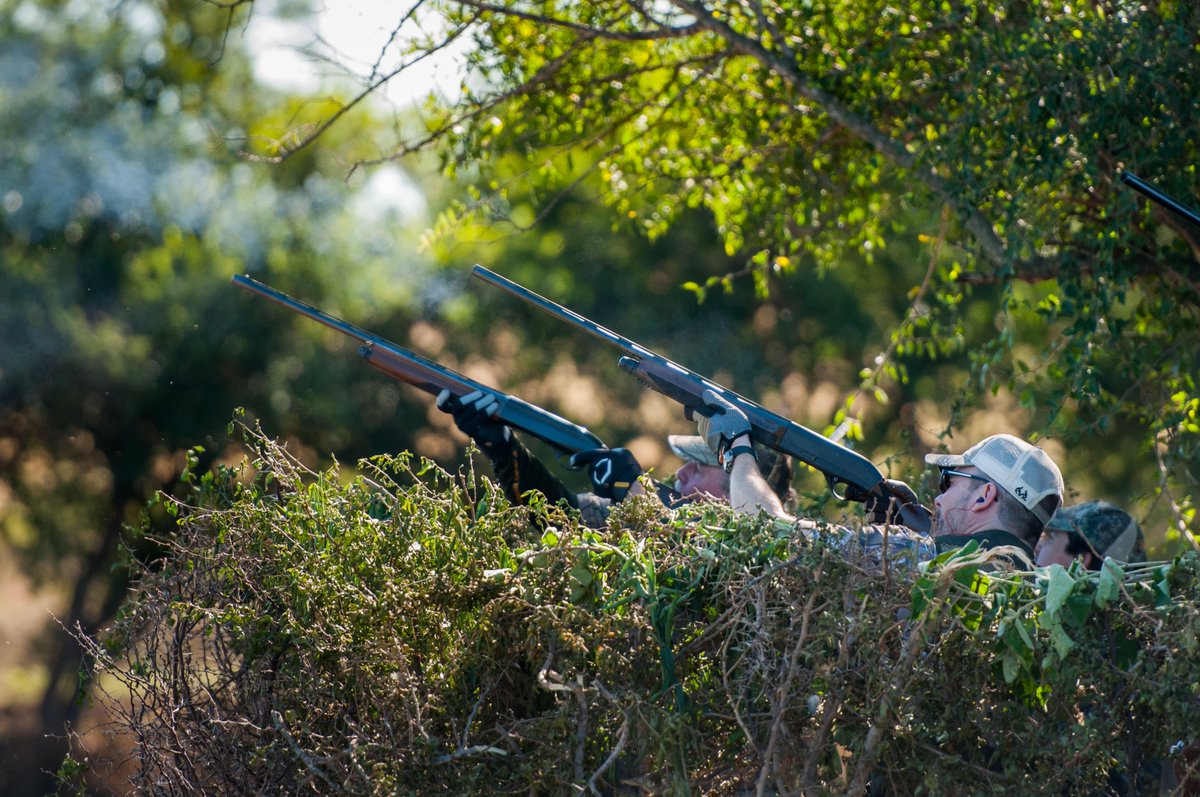 Sierra_Brava's tweet photo. Upcoming 2018. DoUpcoming 2018. Dove shooting at Sierra Brava, C��rdoba, Argentina. The best time to plan is now‼️🛫 https://t.co/QQ6eOLyODB https://t.co/a6AbJvWLkY