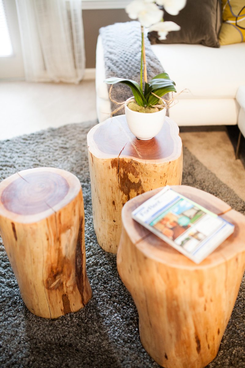 IMTMaitland's tweet photo. Bring nature indoors with these rustic coffee tables! Wood you use these? #playonwords https://t.co/kM36vnUDem