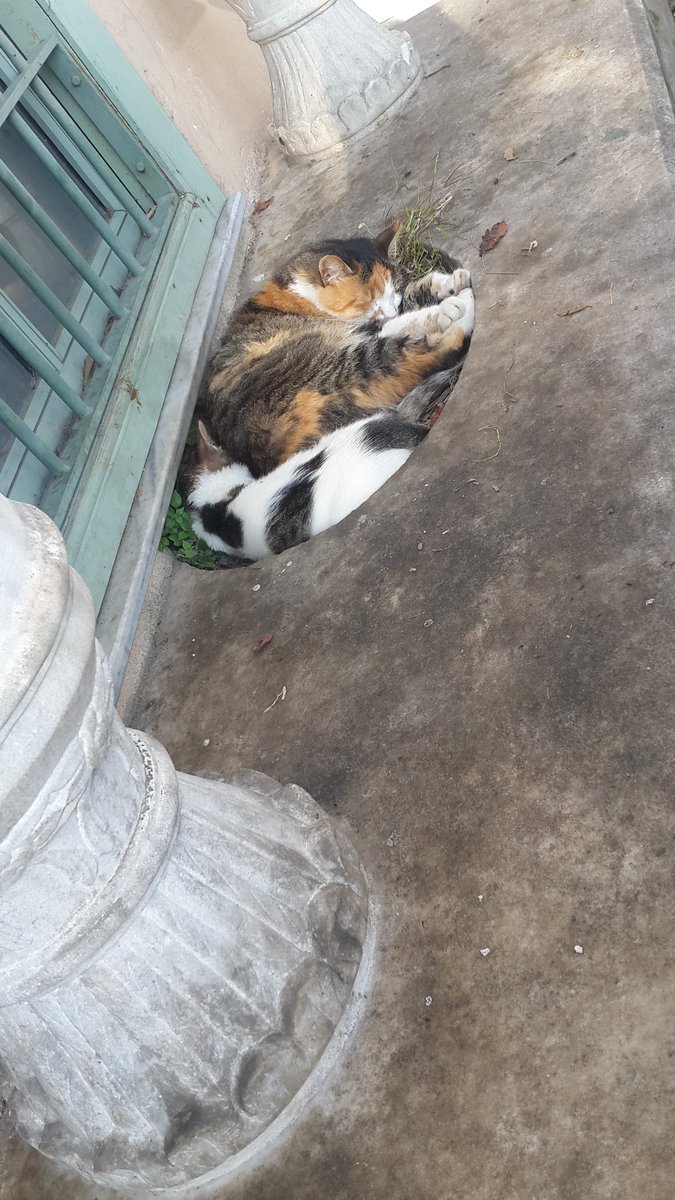 Yahya Efendi Dergah'ında bir kabristan. Kabir sadece ölüye değil diriye de sığınak olmuş.
Hayat dediğimiz bu rihlede de insan ölmeden evvel defalarca kez  ölür; fakat sonuncusu sonsuz bir nefes kesilmesi hâlidir.