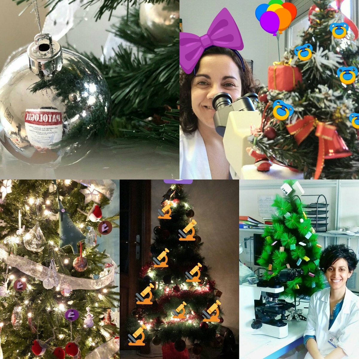 martiponi's tweet photo. Dear #pathologist: Cheer up to participate with a funny photo related with #ChristmasTreePath https://t.co/zr3fSPY8yx