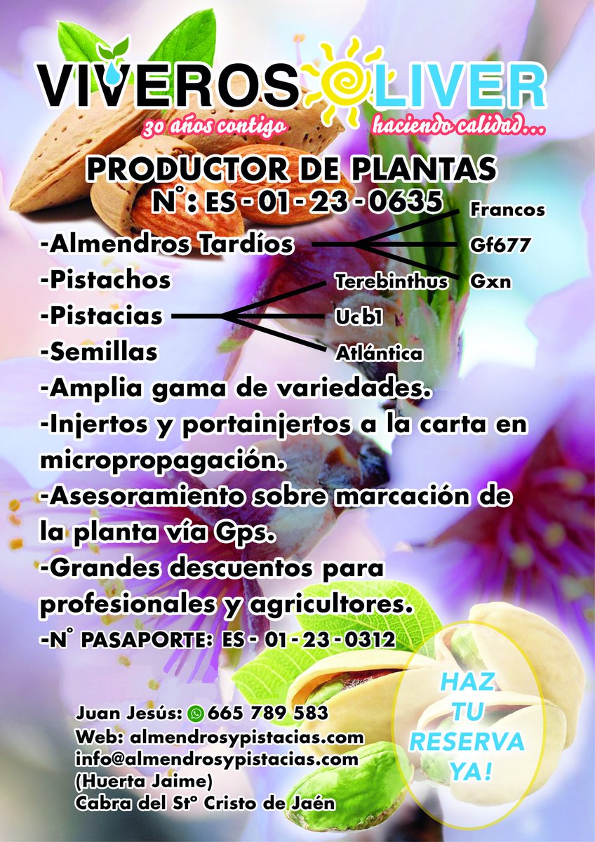ya pueden realizar las reservas para el  año 2018 en toda sus plantas de almendros y pistacias con o sin injerto ya que trabajamos a la carta.
Para más información serás atentamente recibido en nuestras instalaciones dando año tras año el asesoramiento gratuito. Felices fiestas