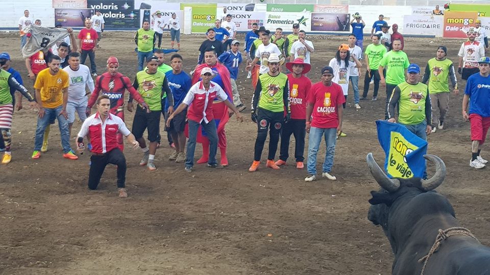 torosrepretel's tweet photo. Ítalo haciendo desplante al Macua... #TorosRepretel https://t.co/LUS3M3lMQ7