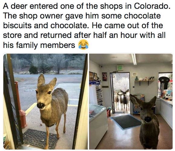 PrincelooA's tweet image. Some times you end up attracting customers whom you believed had no business consuming your products. Well here they are!!! 😁