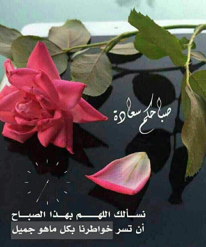 Abdullah Alhumaidi (@abdullahalialho) on Twitter photo 