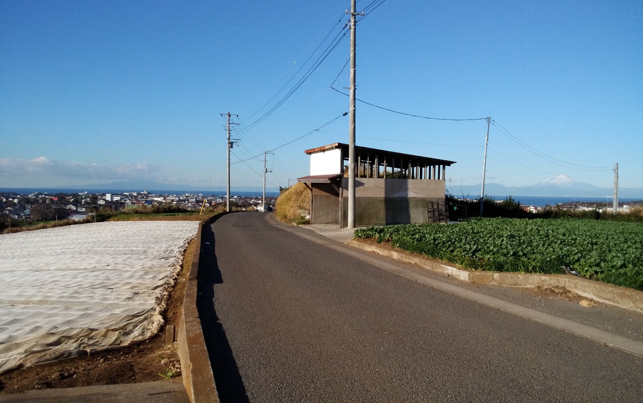 ট ইট র Haraguchi Naoyuki 左右に海が見える農道 ヨコハマ買い出し紀行 カブのイサキ コトノバドライブ 芦奈野ひとし ট ইট র Haraguchi Naoyuki 左右に海が見える農道 ヨコハマ買い出し紀行 カブのイサキ コトノバドライブ 芦奈野ひとし