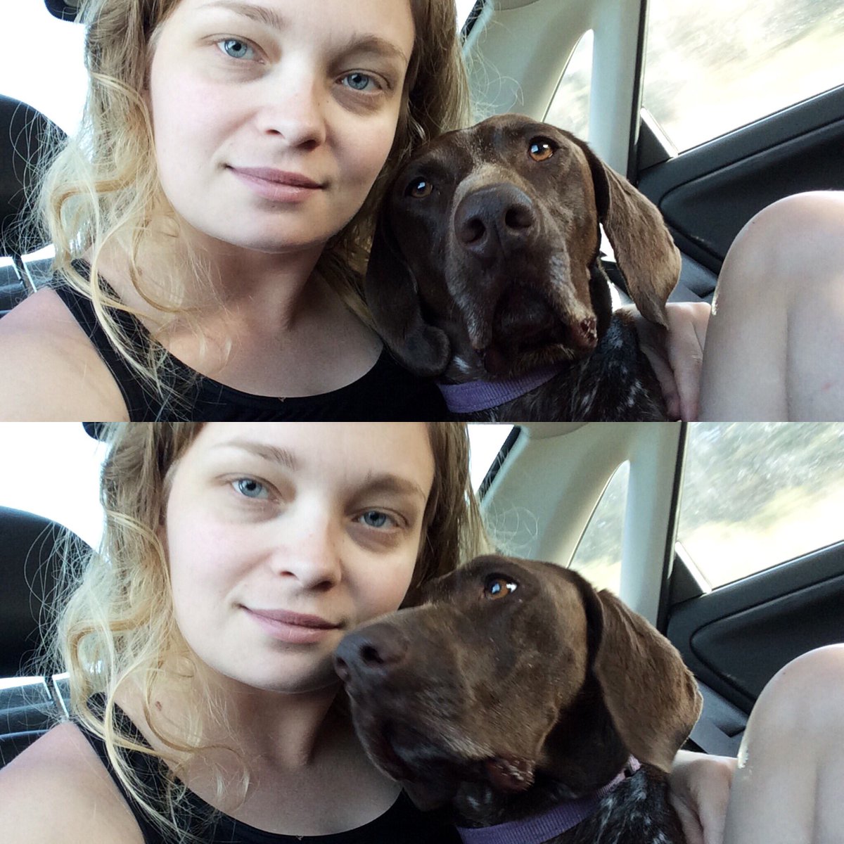 lbff17's tweet image. Post beach day car cuddles 🐶💜