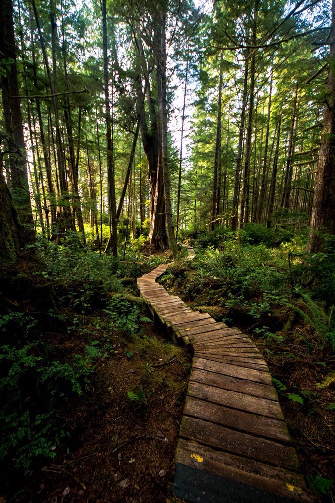 Hope you all have had a wonderful holidays! The Cotton Clans headed back up to Tofino BC for some beautiful photo action! Lucky to live in such a beautiful province.  #harnessyourphotography