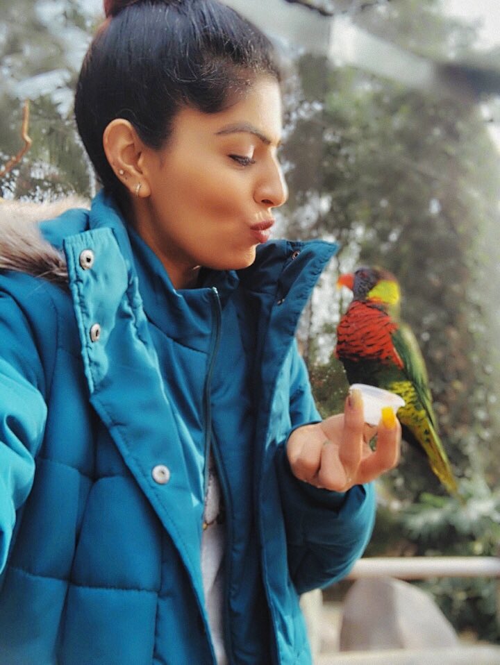 Meenusharma09's tweet photo. some #birds are not meant to be caged. listen to their #music and feel vivid.  #freebirds #wildlife @AquariumPacific https://t.co/0lJSzUhZRv