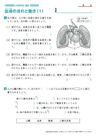 ちびむすドリル 作成 公開しました 小学6年生理科の問題プリント3セット 各4枚 公開しました 呼吸の働き 4枚 T Co Lrpskz8qji 体内に酸素が取り入れられ 体外に二酸化炭素などが出されていることや そのはたらきを担う体の器官 ちびむすドリル 作成 公開しました 小学6年生理科の問題プリント3セット 各4枚 公開しました 呼吸の働き 4枚 T Co Lrpskz8qji 体内に酸素が取り入れられ 体外に二酸化炭素などが出されていることや そのはたらきを担う体の器官
