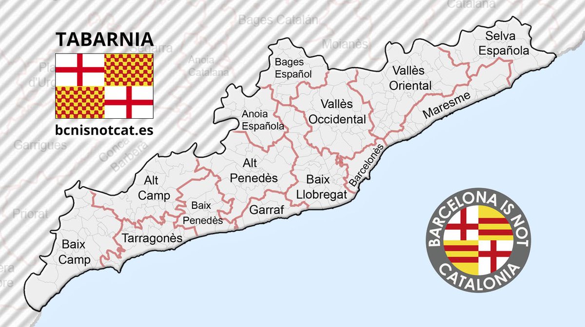 TABARNIA  - Página 5 DSGT14lXcAEUZ91