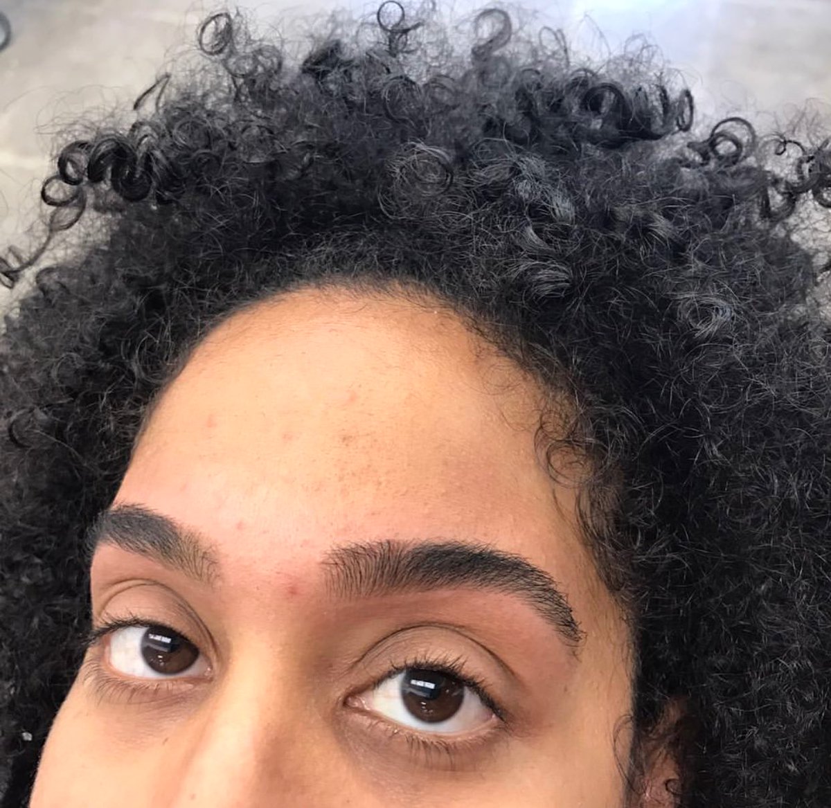browsbyalma's tweet photo. If #eyes are the window to the soul, 
#Eyebrows are the frame. 
How strong is your #EyebrowGame ❓ 
#BrowsbyAlma #Eyebrowgamestrong #seasonetrendsstudio #Sheisinspired ✨ 
Thank you for trusting me with your brows Retweet if you love! https://t.co/ekBCWgUK1G