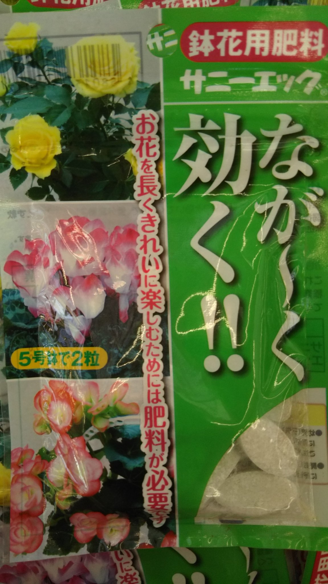 ジョイフル本田 ガーデンセンター ガーデンセンターひたちなか店 茨城 シクラメンをきれいに長く楽しむために サニーエッグ シクラメンの肥料 栄養 です 臭いも少なく 使いやすい 鉢の中の土に差し込むだけで 栄養を与えられます