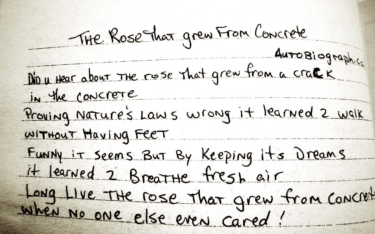 Angie Thomas on Twitter: ""You see you wouldn't ask why the rose that grew from the concrete had damaged petals. On the contrary, we would all celebrate its ...