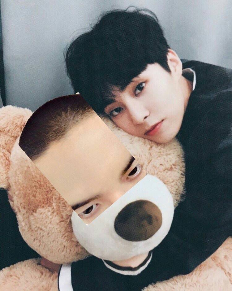 Dohlove_HJ's tweet photo. 아놔ㅋ 탐라 보다 귀��운거 발견ㅎㅎㅎㅎ
이마경수 어쩔꺼야ㅎㅎㅎㅎ https://t.co/IwzLh3RGCG