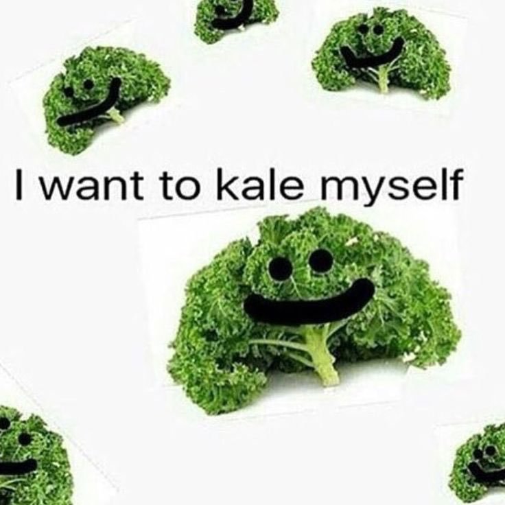 DownwardMemes's tweet photo. https://t.co/lHtYkzpmXm