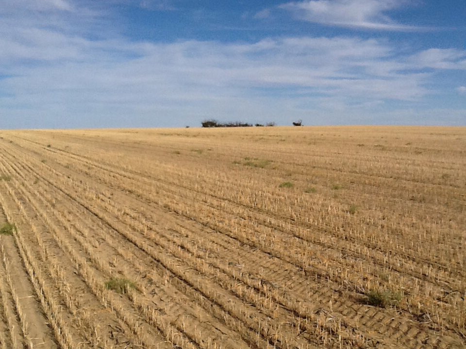 Jason Syred tweet media