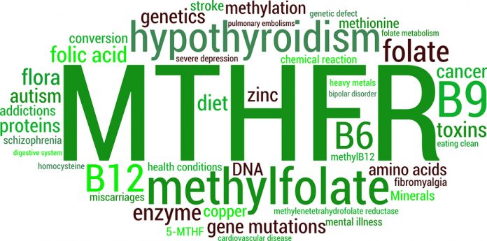 toxicological profiles 24