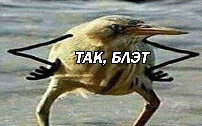 Ммм, ща бы дождь в конце декабря, сука!...