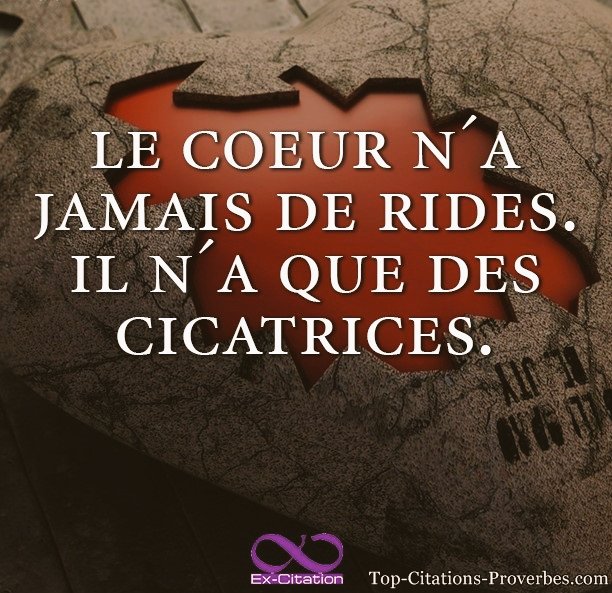 GharbiJulien's tweet photo. #conseildejour #28decembre2017 #juliengharbi #lesanges10 #ss11 #lpdla5 #melaa3 #lvdcb3 #lavilla3 #lmsa #lmvsrdm2 #twitter #instagram #message https://t.co/Hap4E28IZU
