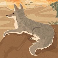 CoyoteStories (@coyote_stories) on Twitter photo Time to think of #NewYearsResolution  what should a coyote who has it all wish for? Time to think of #NewYearsResolution  what should a coyote who has it all wish for?